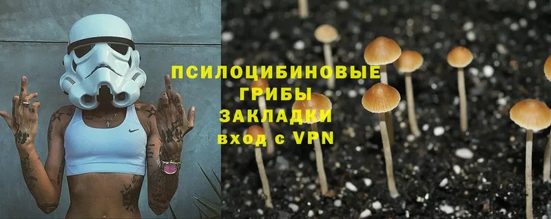 закладка  Уфа  Галлюциногенные грибы MAGIC MUSHROOMS 